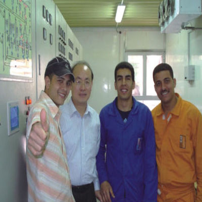 kaufen Anlagenbau-Lösungs-Überseefunktion JEFFER ISO45001 online manufacture